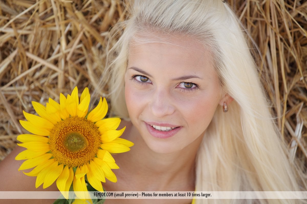 Vika D in Sunflower photo 1 of 16